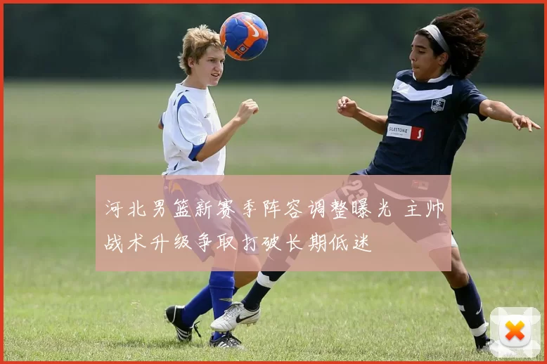 河北男篮新赛季阵容调整曝光 主帅战术升级争取打破长期低迷